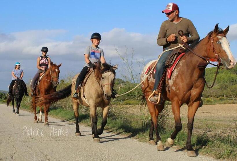 Пансион Finca Caballo Blanco