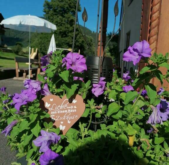 بنسيون Lasserhof