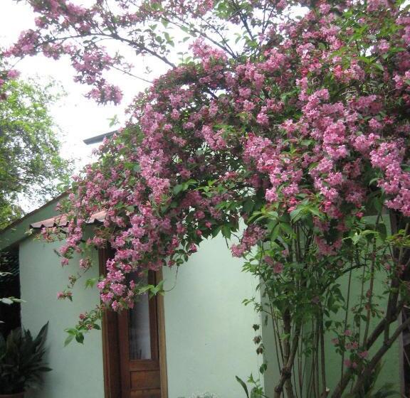 민박 A Casa Della Zia