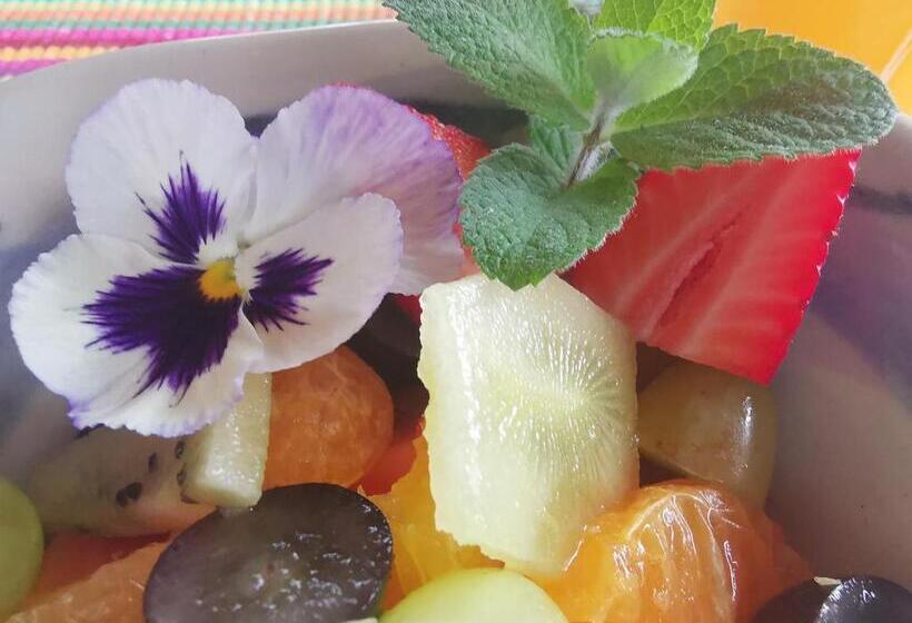 住宿加早餐  Eloff Guest House And Gallery