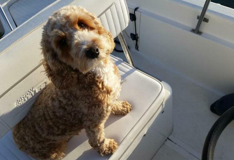 ベッドアンドブレックファースト Little Orchard House