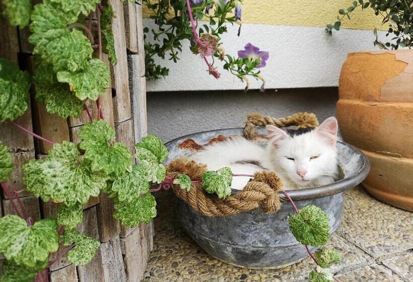 هتل Bauernhof Kure