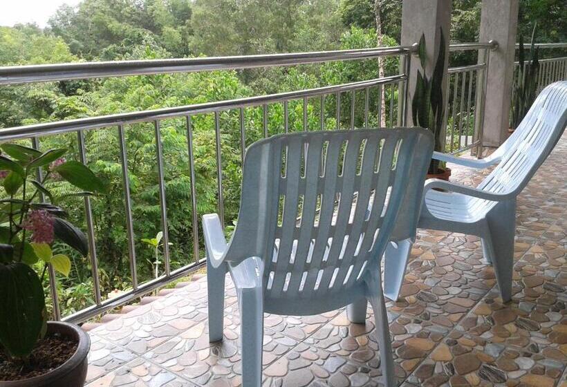 Hospedaria Nananuira Apartment And Room