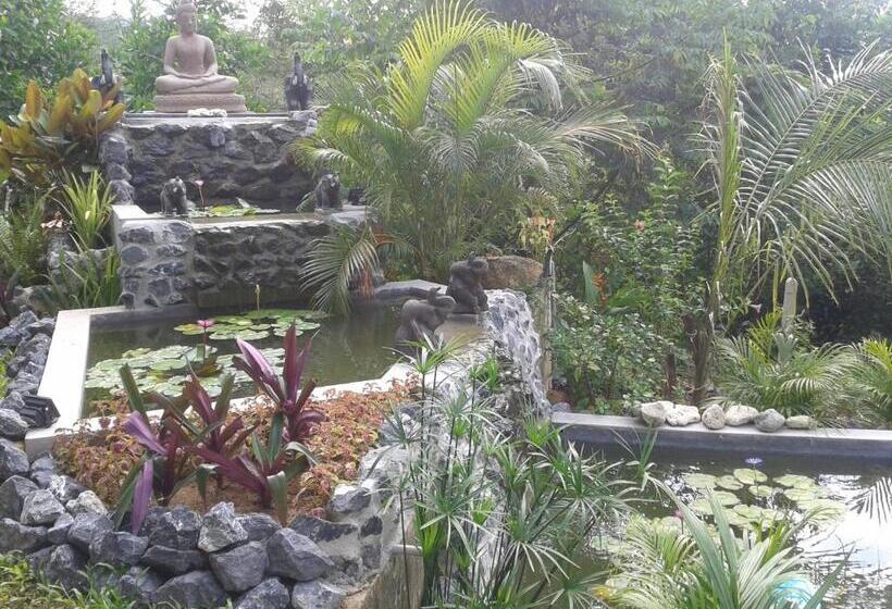 Hospedaria Nananuira Apartment And Room