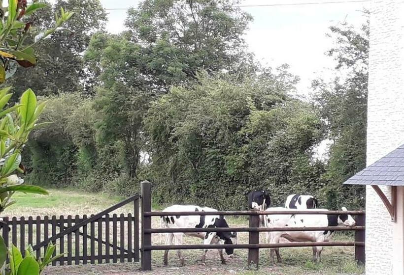مبيت وإفطار Ferme Du Rupalley