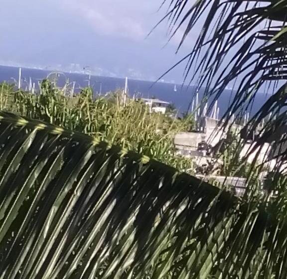Delfin B&b