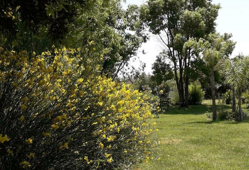 بنسيون Casetta Vacanza In Campagna