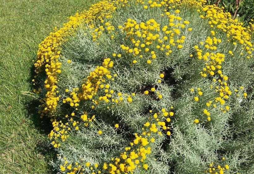 بنسيون Casetta Vacanza In Campagna