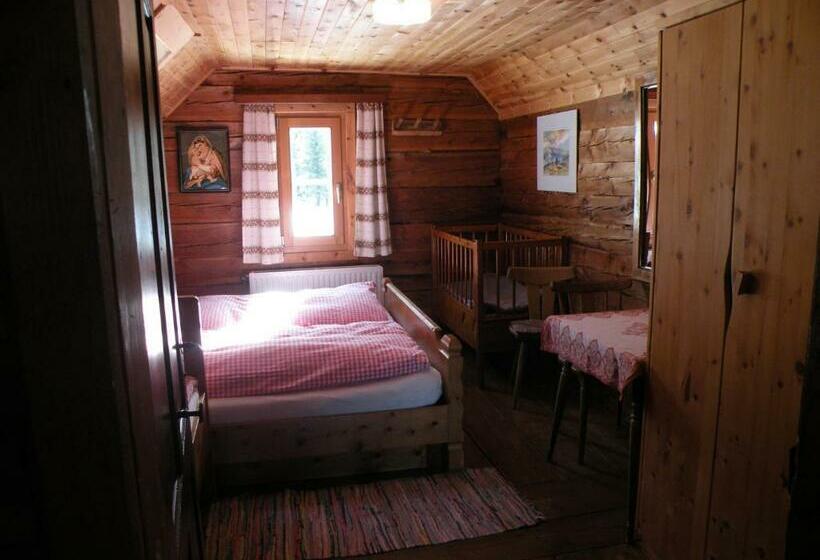 Общежитие Hiasl Zirbenhütte
