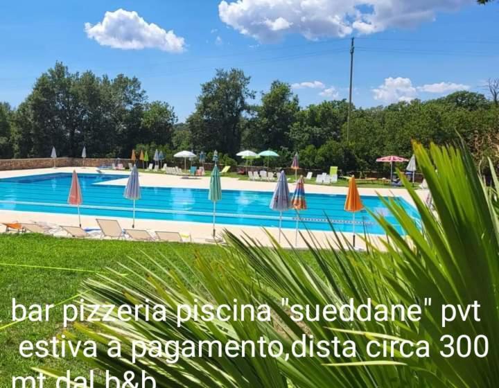 B&b Kikina