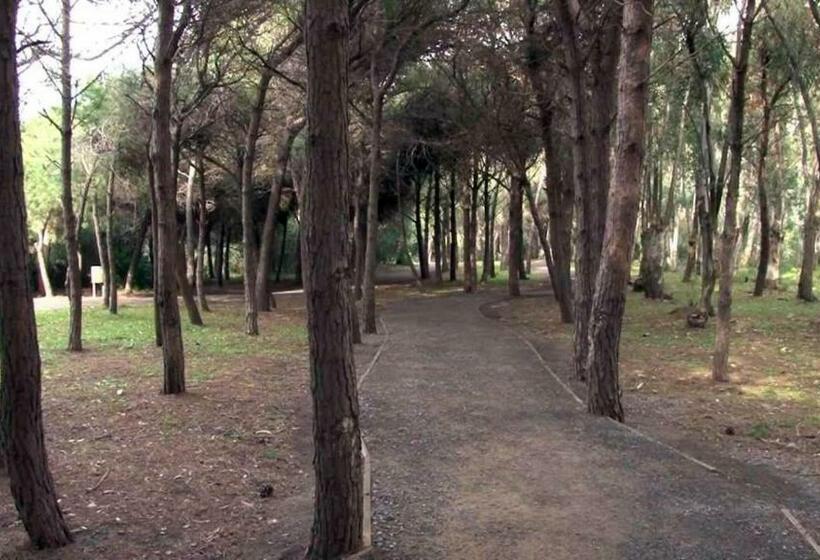 B&b Pineta Mare