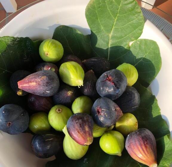 تختخواب و صبحانه Casale Calabria