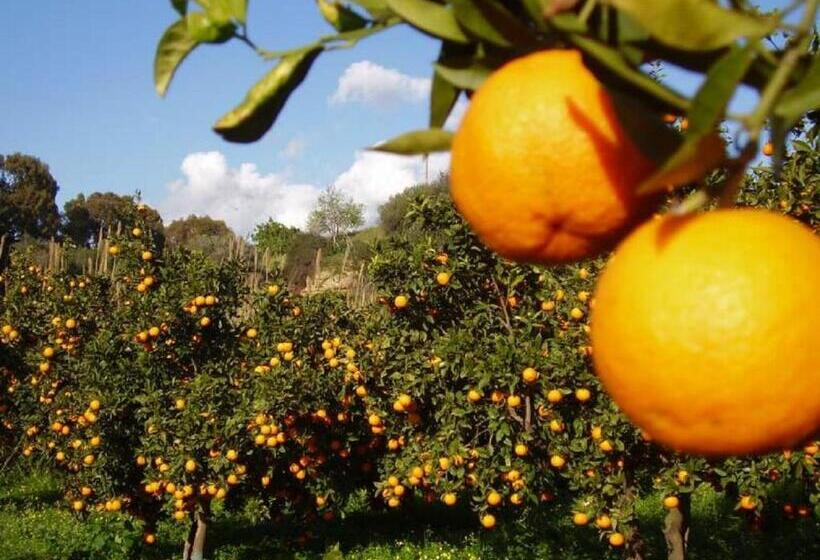 تختخواب و صبحانه Casale Calabria