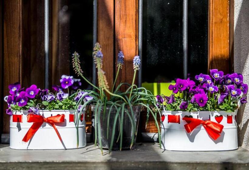 Пансион Il Giardino Di Lavanda