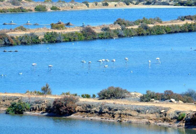 پانسیون Moinhos Das Marés