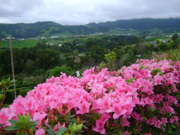 膳宿费 Quinta Do Quarteiro