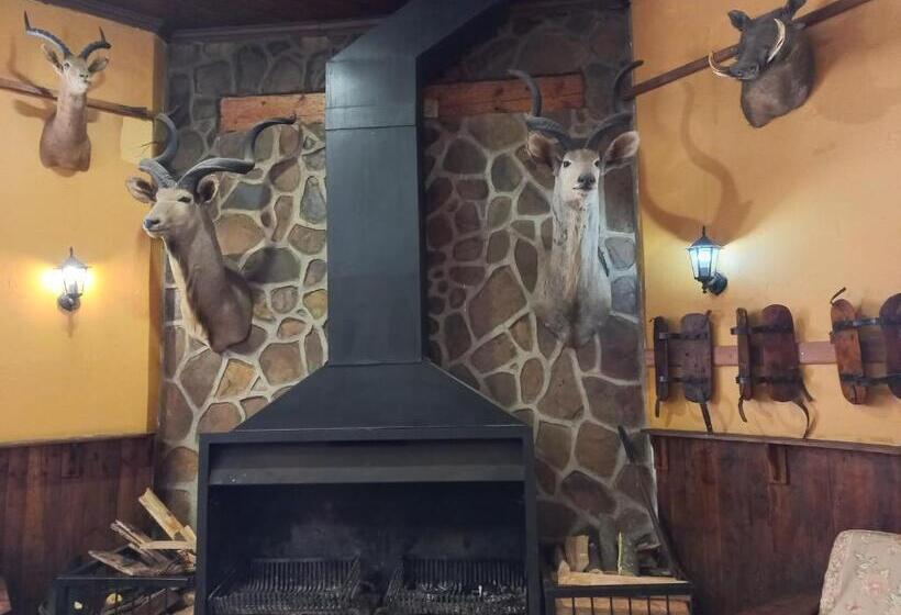 הוסטל The Grey S Inn