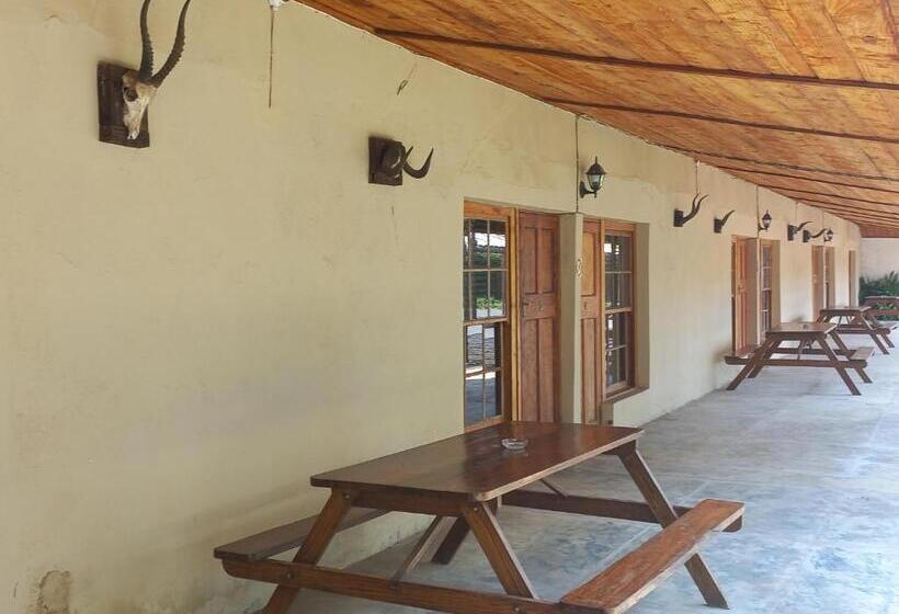 הוסטל The Grey S Inn