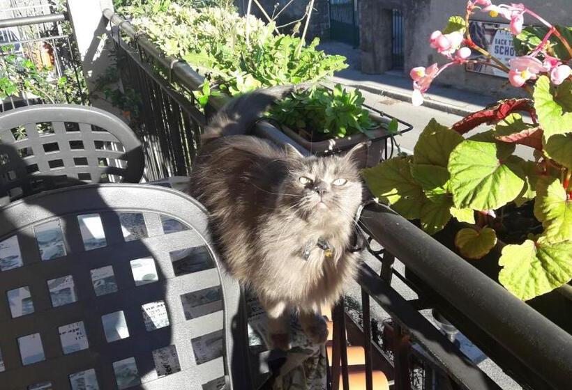 مبيت وإفطار Affittacamere Erbagatta