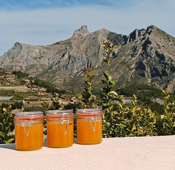 تختخواب و صبحانه Finca Oliva