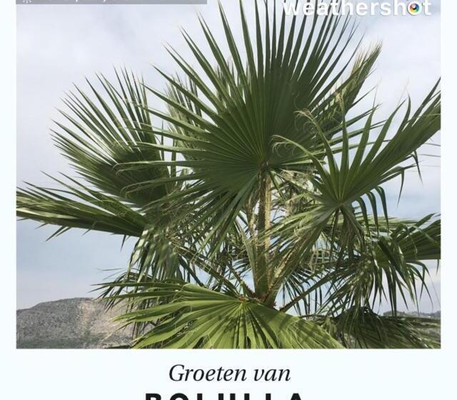 تختخواب و صبحانه Finca Oliva