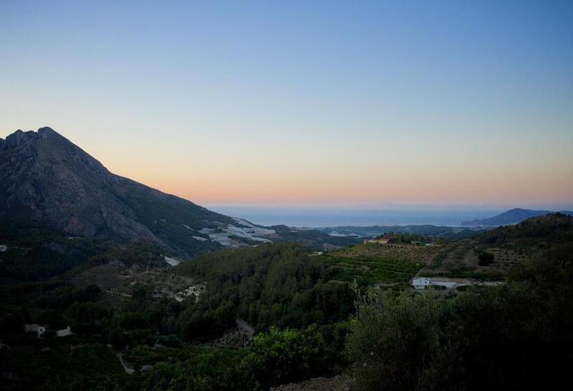 تختخواب و صبحانه Finca Oliva