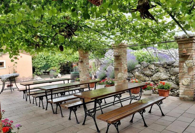 پانسیون Penzion Moravská Oáza