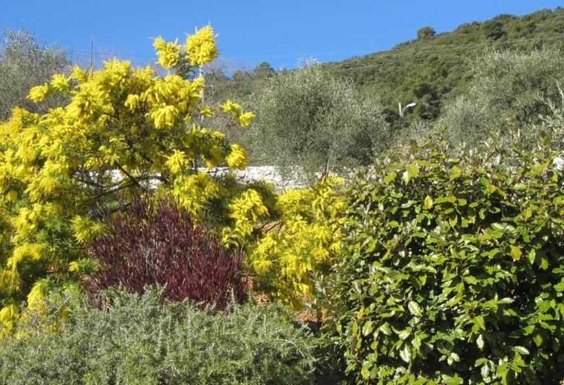 Bed and Breakfast Villa Des Oliviers