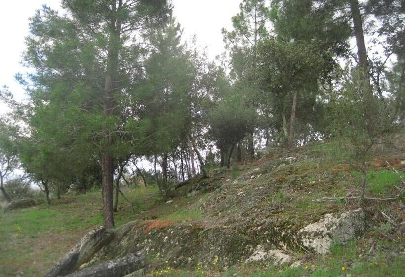 هتل Quinta Santa Isabel