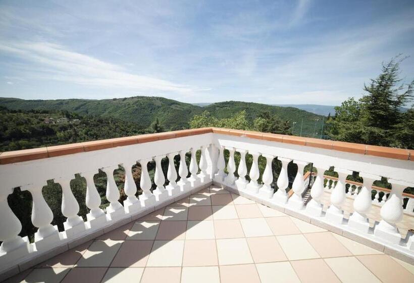 B&b Belvedere