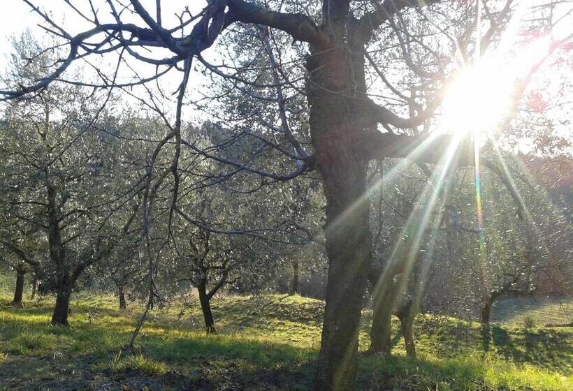 B&b Miravalle