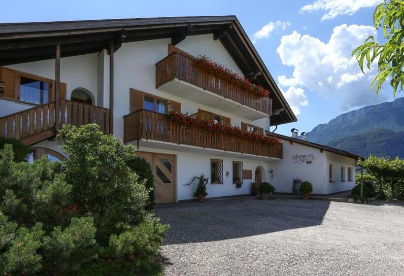 تختخواب و صبحانه Appartements Weisshauserhof