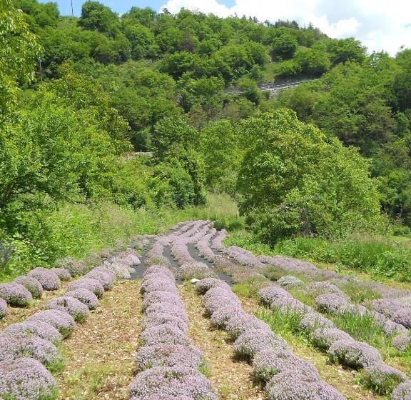 مبيت وإفطار Ca  Dei Fazzilisti