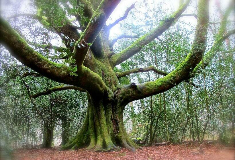 住宿加早餐  Kerarz   Chambre D Hôtes