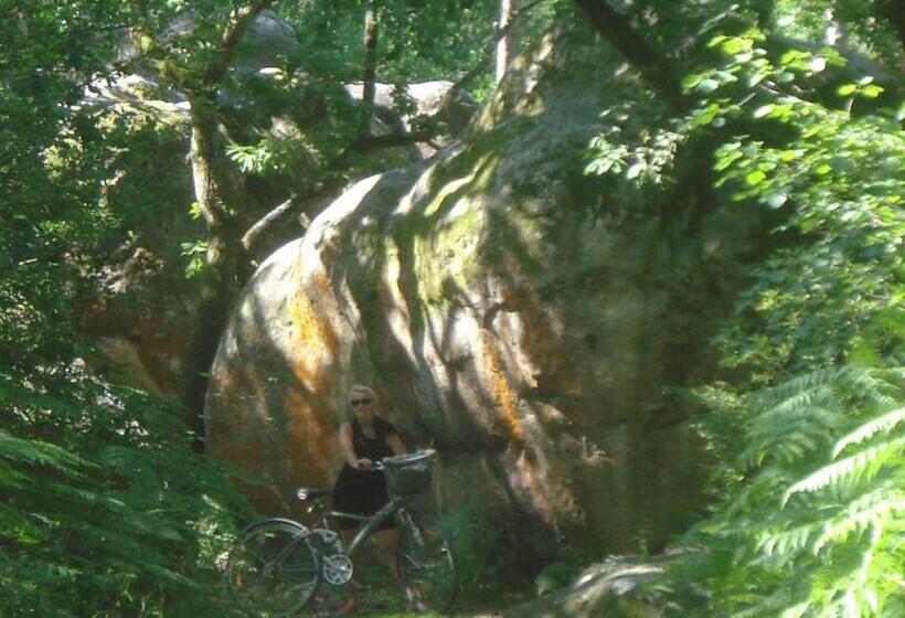 مبيت وإفطار Les Prémices De La Forêt