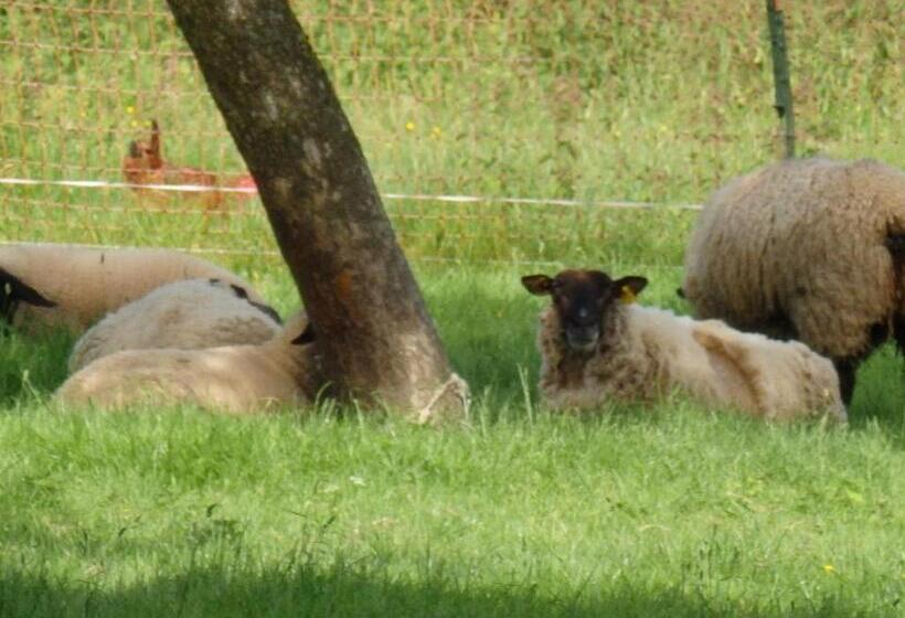 ベッドアンドブレックファースト Les Trois Pommiers