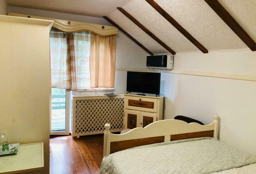 بنسيون Vila Horia Bradet