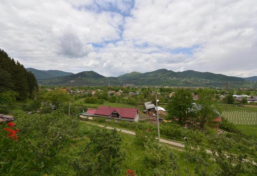 Pensiunea Drumul Plutasilor