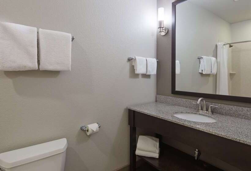 Hotel Best Western Plus Austin Airport Inn And Suites