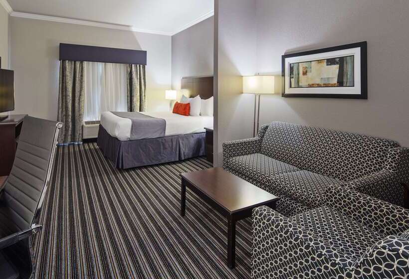 Hotel Best Western Plus Austin Airport Inn And Suites