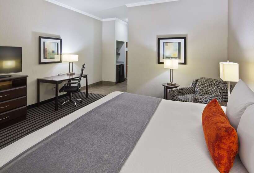 Hotel Best Western Plus Austin Airport Inn And Suites