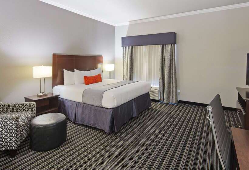 Hotel Best Western Plus Austin Airport Inn And Suites