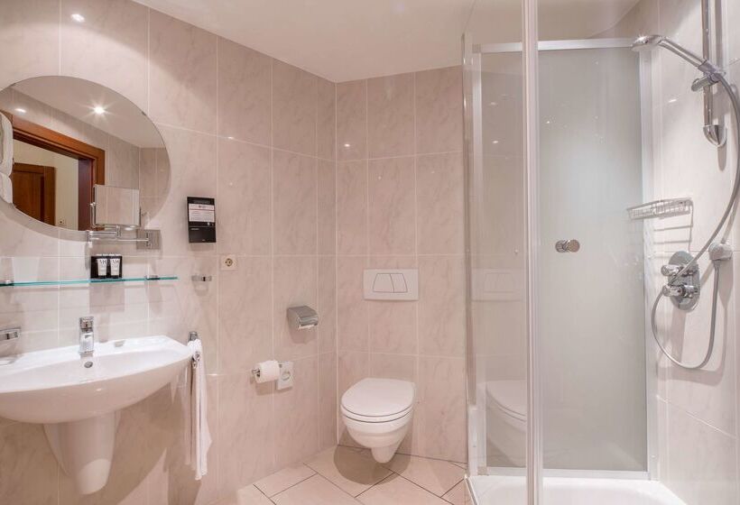 Fotos del hotel Best Western Plus Grand  Victor Hugo:  43