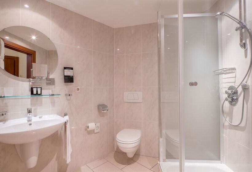 Fotos del hotel Best Western Plus Grand  Victor Hugo:  6