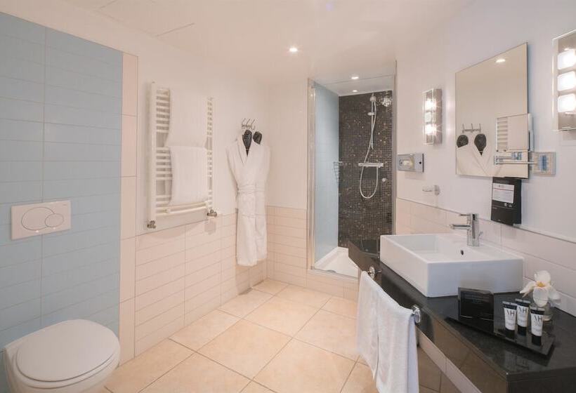 Fotos del hotel Best Western Plus Grand  Victor Hugo:  4