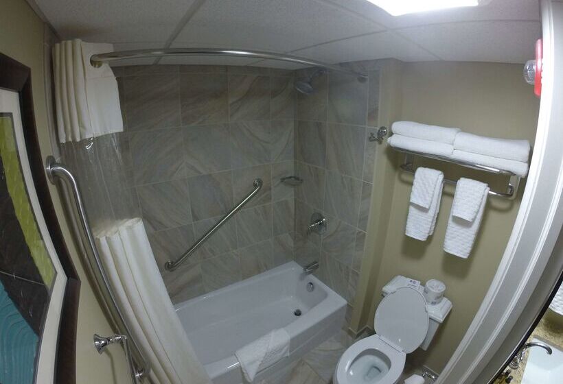 هتل Best Western Plus Traverse City