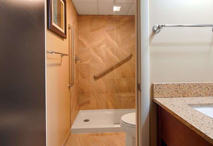 هتل Best Western Plus Traverse City