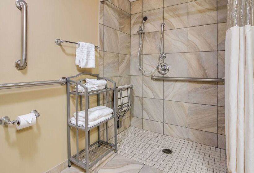 هتل Best Western Plus Traverse City