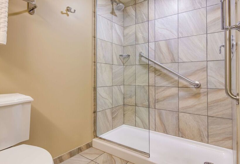 هتل Best Western Plus Traverse City