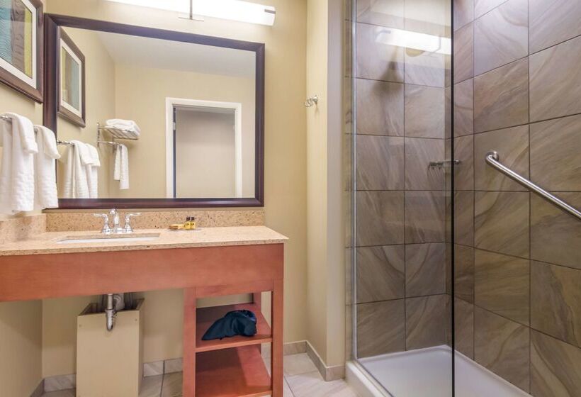 هتل Best Western Plus Traverse City